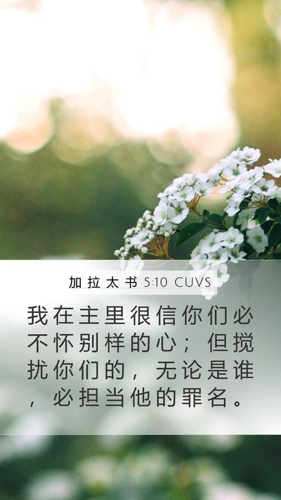加 拉 太 书 5:10 CUVS Bible Verse Image