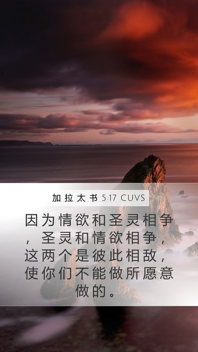 加 拉 太 书 5:17 CUVS Bible Verse Image