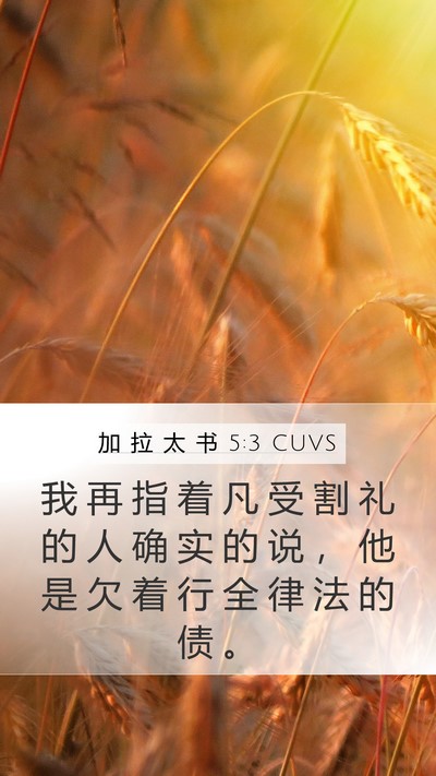 加 拉 太 书 5:3 CUVS Bible Verse Image