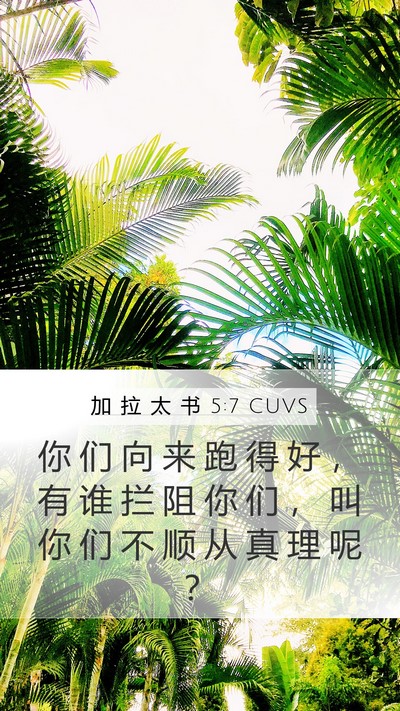 加 拉 太 书 5:7 CUVS Bible Verse Image