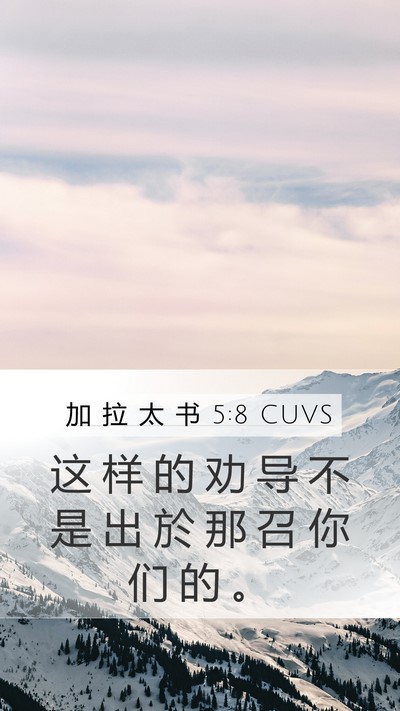 加 拉 太 书 5:8 CUVS Mobile Phone Wallpaper - 这 样 的 劝 导 不 是 出 於 那 召 你 - Mobile Bible Verse Wallpaper