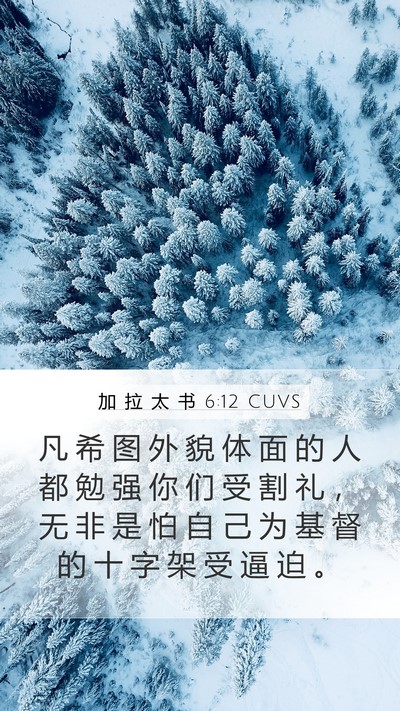 加 拉 太 书 6:12 CUVS Bible Verse Image