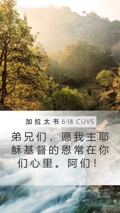 加 拉 太 书 6:18 CUVS Bible Verse Image