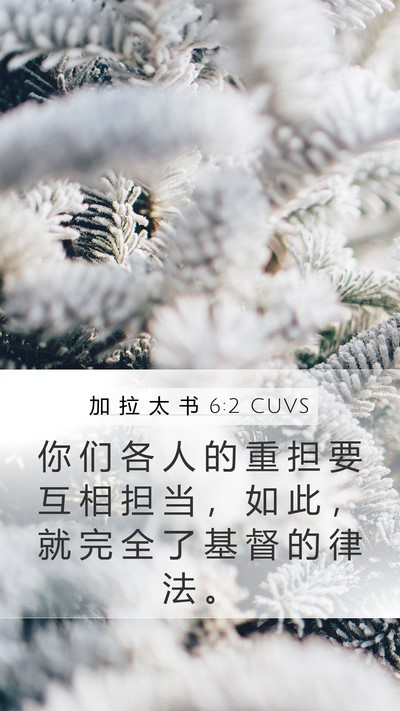 加 拉 太 书 6:2 CUVS Bible Verse Image