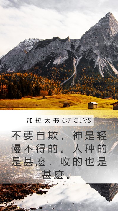 加 拉 太 书 6:7 CUVS Bible Verse Image