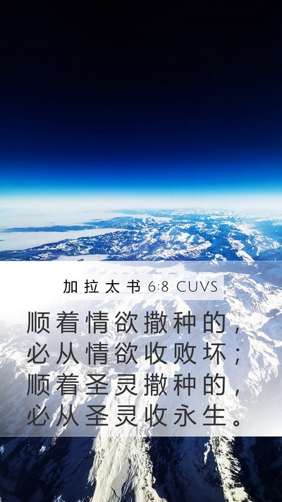 加 拉 太 书 6:8 CUVS Bible Verse Image