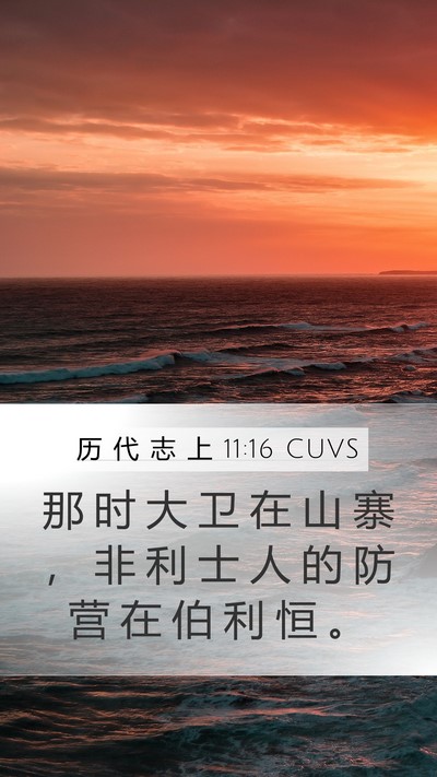 历 代 志 上 11:16 CUVS Bible Verse Image