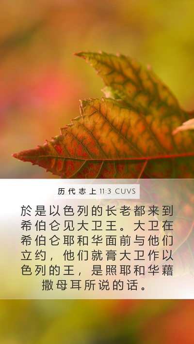 历 代 志 上 11:3 CUVS Bible Verse Image