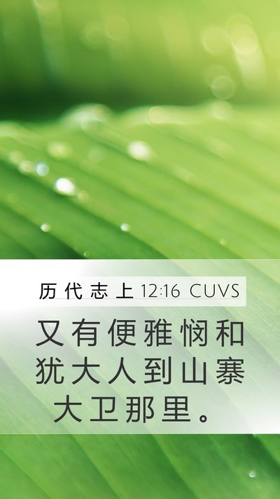 历 代 志 上 12:16 CUVS Bible Verse Image