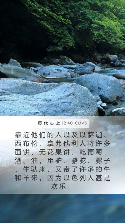 历 代 志 上 12:40 CUVS Bible Verse Image