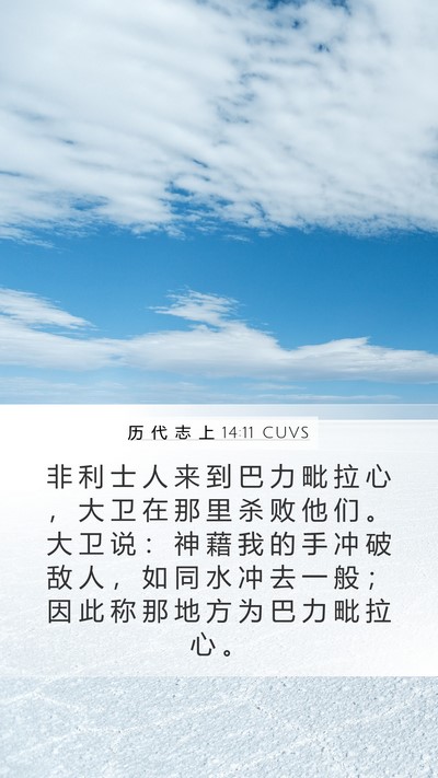 历 代 志 上 14:11 CUVS Bible Verse Image
