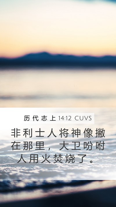 历 代 志 上 14:12 CUVS Bible Verse Image