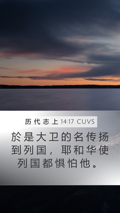 历 代 志 上 14:17 CUVS Bible Verse Image