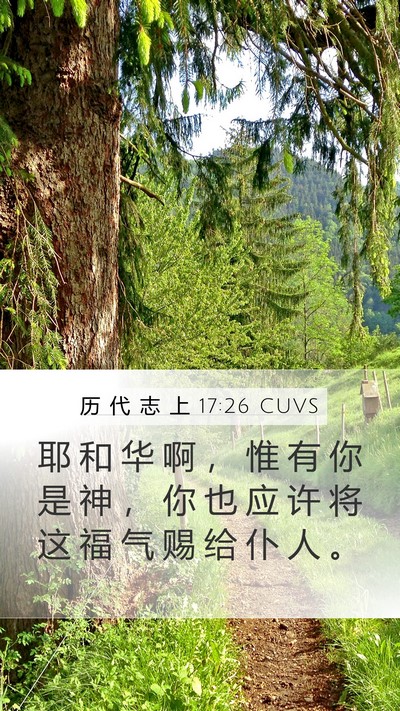 历 代 志 上 17:26 CUVS Bible Verse Image