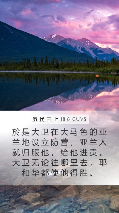 历 代 志 上 18:6 CUVS Bible Verse Image