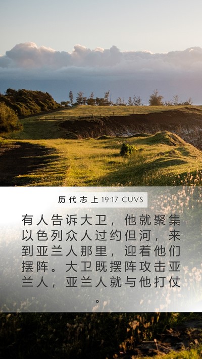 历 代 志 上 19:17 CUVS Bible Verse Image
