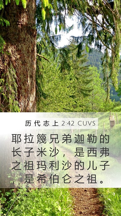 历 代 志 上 2:42 CUVS Bible Verse Image