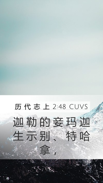 历 代 志 上 2:48 CUVS Bible Verse Image