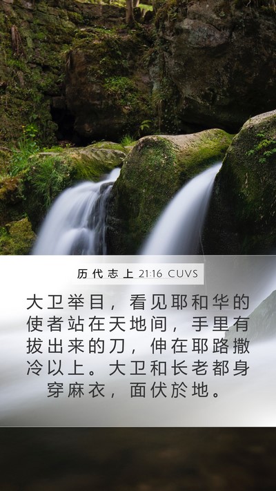 历 代 志 上 21:16 CUVS Bible Verse Image