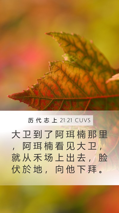 历 代 志 上 21:21 CUVS Mobile Phone Wallpaper - 大 卫 到 了 阿 珥 楠 那 里 ， 阿 珥 - Mobile Bible Verse Wallpaper