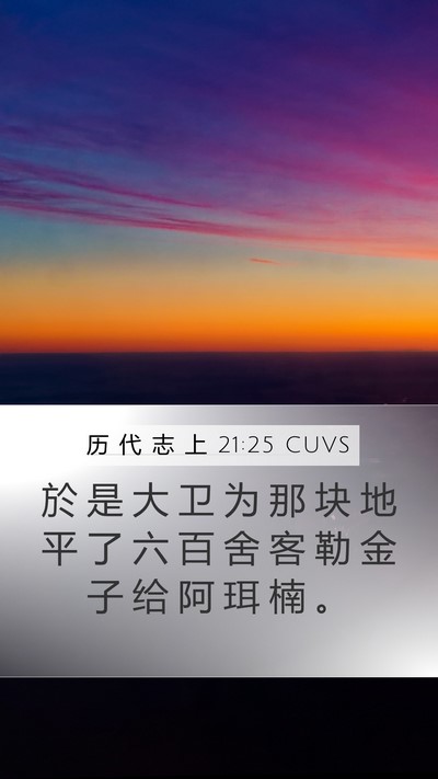 历 代 志 上 21:25 CUVS Mobile Phone Wallpaper - 於 是 大 卫 为 那 块 地 平 了 六 百 - Mobile Bible Verse Wallpaper