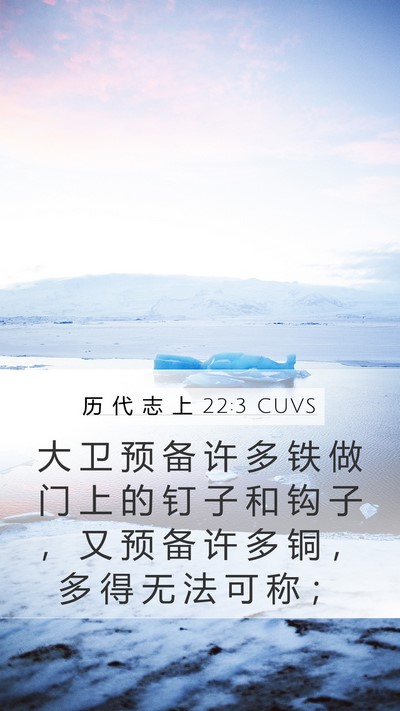 历 代 志 上 22:3 CUVS Bible Verse Image