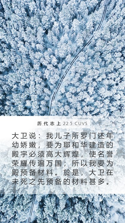 历 代 志 上 22:5 CUVS Bible Verse Image