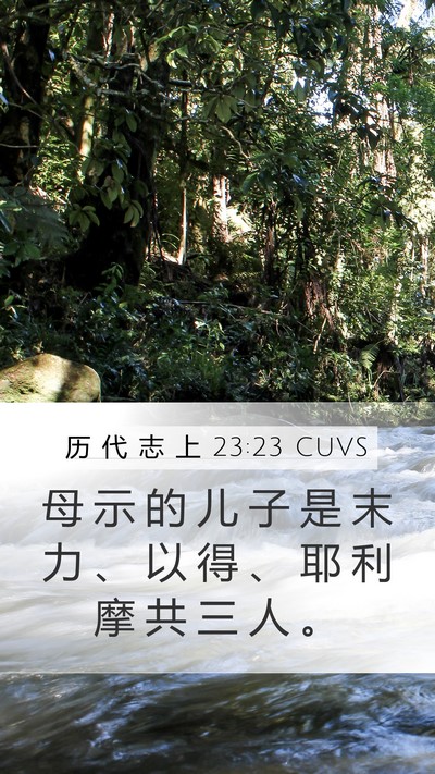 历 代 志 上 23:23 CUVS Bible Verse Image