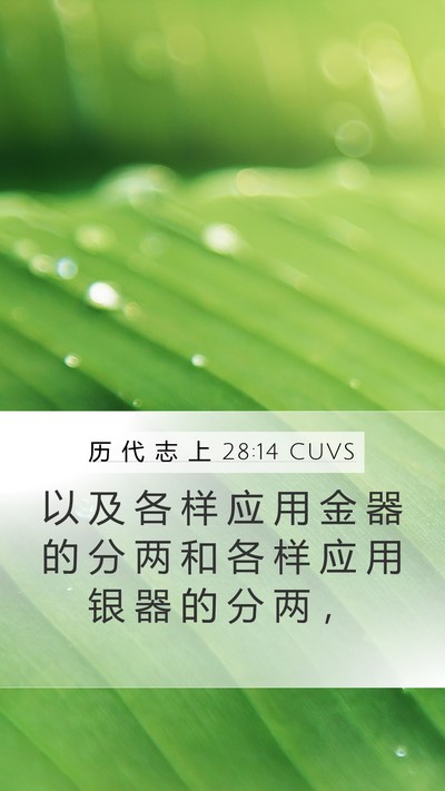 历 代 志 上 28:14 CUVS Bible Verse Image