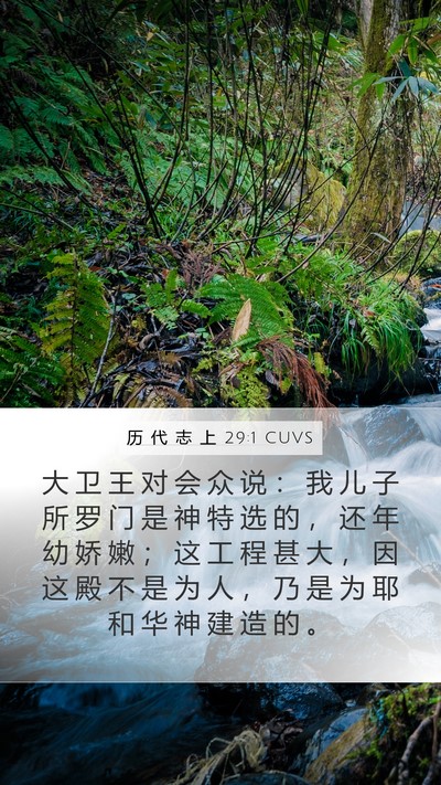 历 代 志 上 29:1 CUVS Bible Verse Image