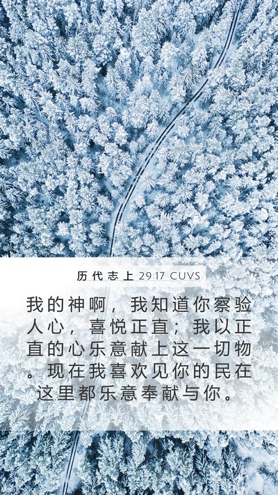 历 代 志 上 29:17 CUVS Bible Verse Image