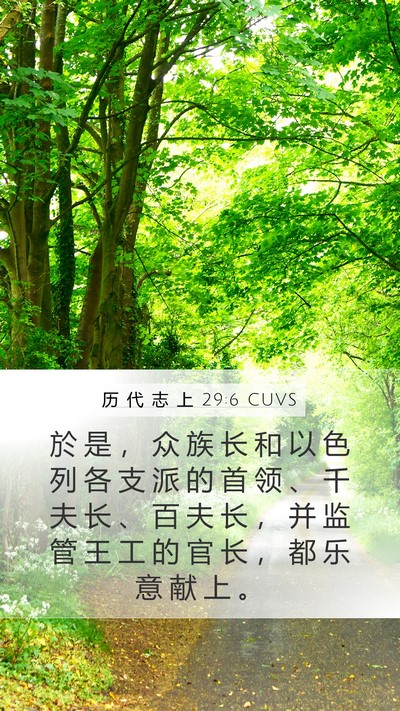 历 代 志 上 29:6 CUVS Bible Verse Image