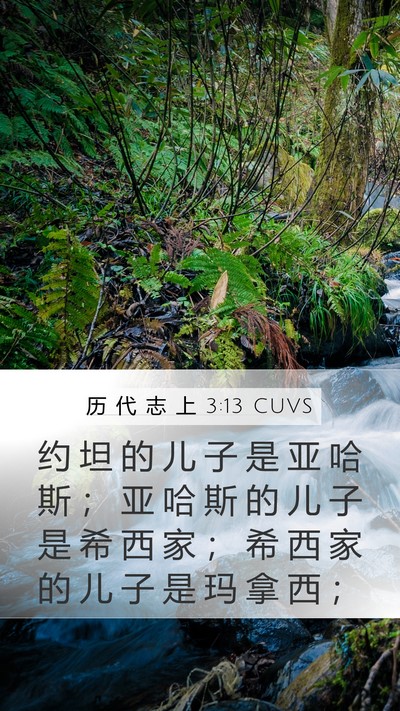 历 代 志 上 3:13 CUVS Bible Verse Image