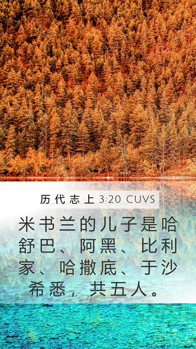 历 代 志 上 3:20 CUVS Mobile Phone Wallpaper - 米 书 兰 的 儿 子 是 哈 舒 巴 、 阿 - Mobile Bible Verse Wallpaper