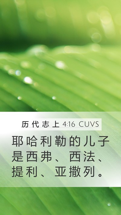 历 代 志 上 4:16 CUVS Mobile Phone Wallpaper - 耶 哈 利 勒 的 儿 子 是 西 弗 、 西 - Mobile Bible Verse Wallpaper