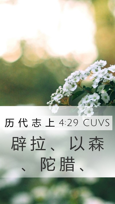 历 代 志 上 4:29 CUVS Bible Verse Image