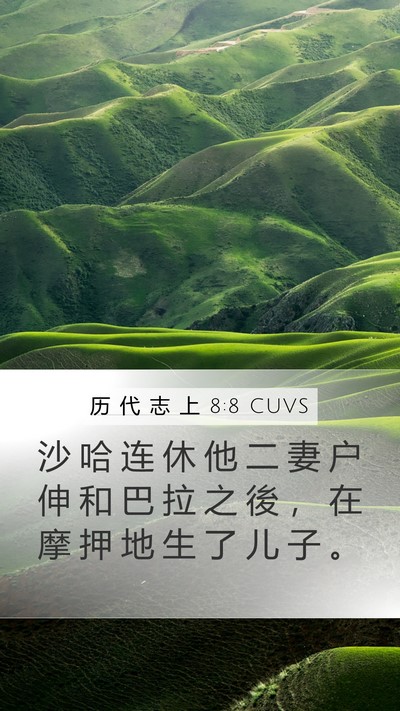历 代 志 上 8:8 CUVS Bible Verse Image