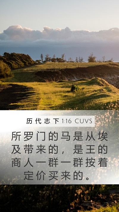 历 代 志 下 1:16 CUVS Mobile Phone Wallpaper - 所 罗 门 的 马 是 从 埃 及 带 来 的 - Mobile Bible Verse Wallpaper