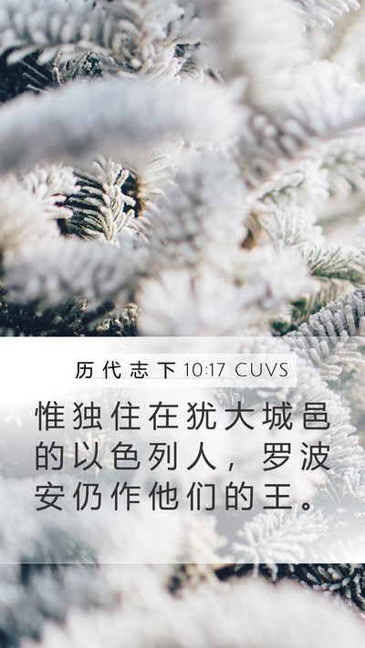 历 代 志 下 10:17 CUVS Bible Verse Image