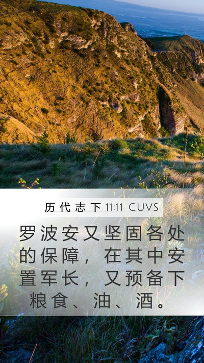 历 代 志 下 11:11 CUVS Bible Verse Image