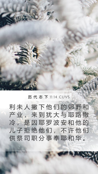历 代 志 下 11:14 CUVS Bible Verse Image
