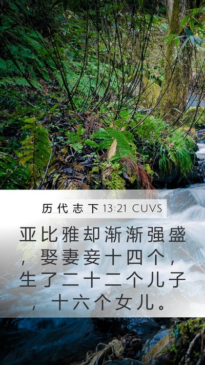 历 代 志 下 13:21 CUVS Bible Verse Image