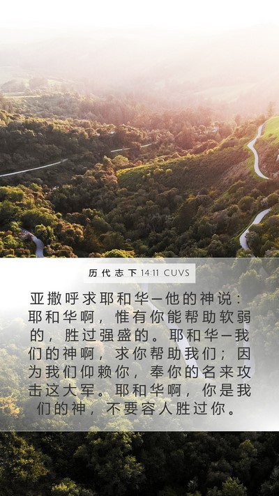 历 代 志 下 14:11 CUVS Bible Verse Image