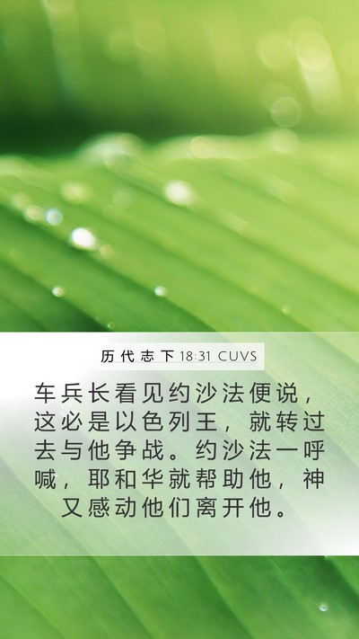 历 代 志 下 18:31 CUVS Bible Verse Image