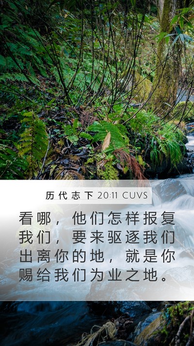 历 代 志 下 20:11 CUVS Bible Verse Image