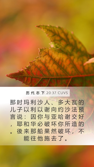 历 代 志 下 20:37 CUVS Bible Verse Image