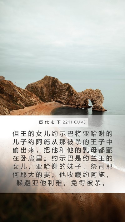 历 代 志 下 22:11 CUVS Mobile Phone Wallpaper - 但 王 的 女 儿 约 示 巴 将 亚 哈 谢 - Mobile Bible Verse Wallpaper