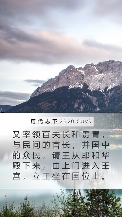 历 代 志 下 23:20 CUVS Bible Verse Image