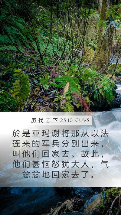 历 代 志 下 25:10 CUVS Bible Verse Image
