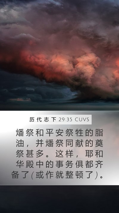 历 代 志 下 29:35 CUVS Mobile Phone Wallpaper - 燔 祭 和 平 安 祭 牲 的 脂 油 ， 并 - Mobile Bible Verse Wallpaper